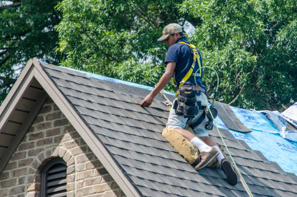 Best Roof Maintenance Services  in Ambler, PA